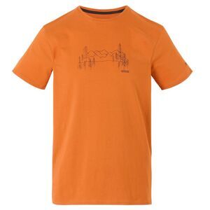 Regatta Mens Breezed Mountain T-Shirt / Fox